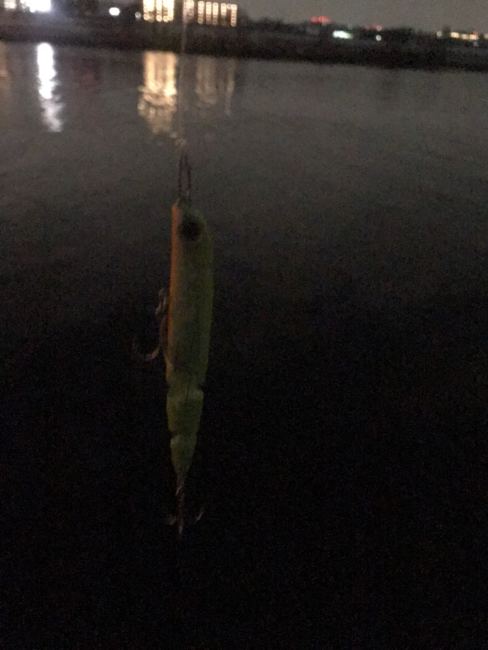 バチ?ベイト?2018年1月荒川中流シーバスの状況報告