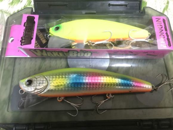 【荒川中流】ウェイキーブー・ミニで台風後のボイルを狙う