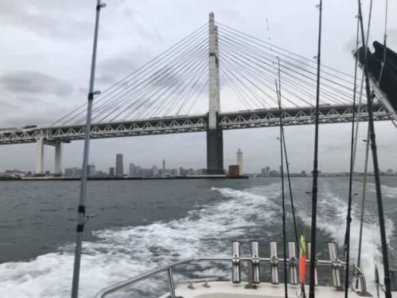 【オフショア】横浜沖でサゴシ爆釣!鳥山・ボイル・入れ食い!