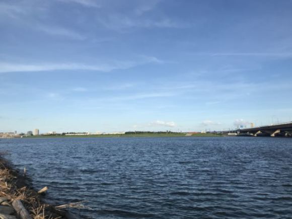 旧江戸川河口でリハビリ釣行【主にクロダイ狙い】