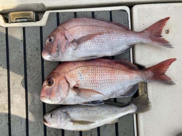 東京湾タイラバに新しい時代がきてた【スタート】