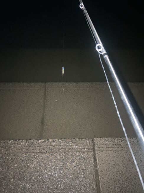 2022荒川バチ抜け調査1月~2月