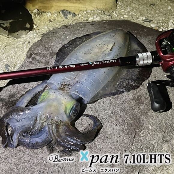 ソルト全般で使えるベイトのテレスコピックロッドがほしー!FishmanXpanとダイワモバイルパックがあるじゃないか