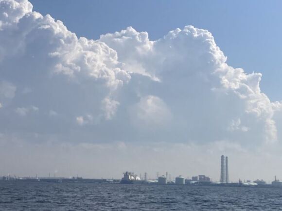 4年ぶりにサワラ釣れたwww