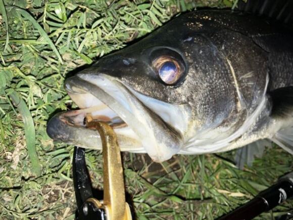 24年3月前半の記録