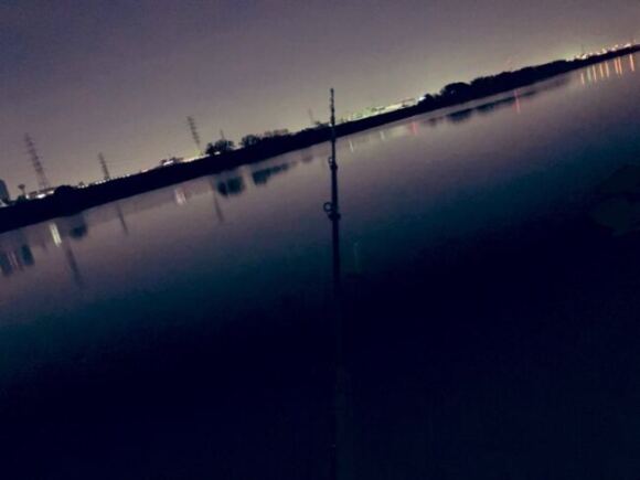 24年4月前半の記録【これでほんとに川バチも終わり】